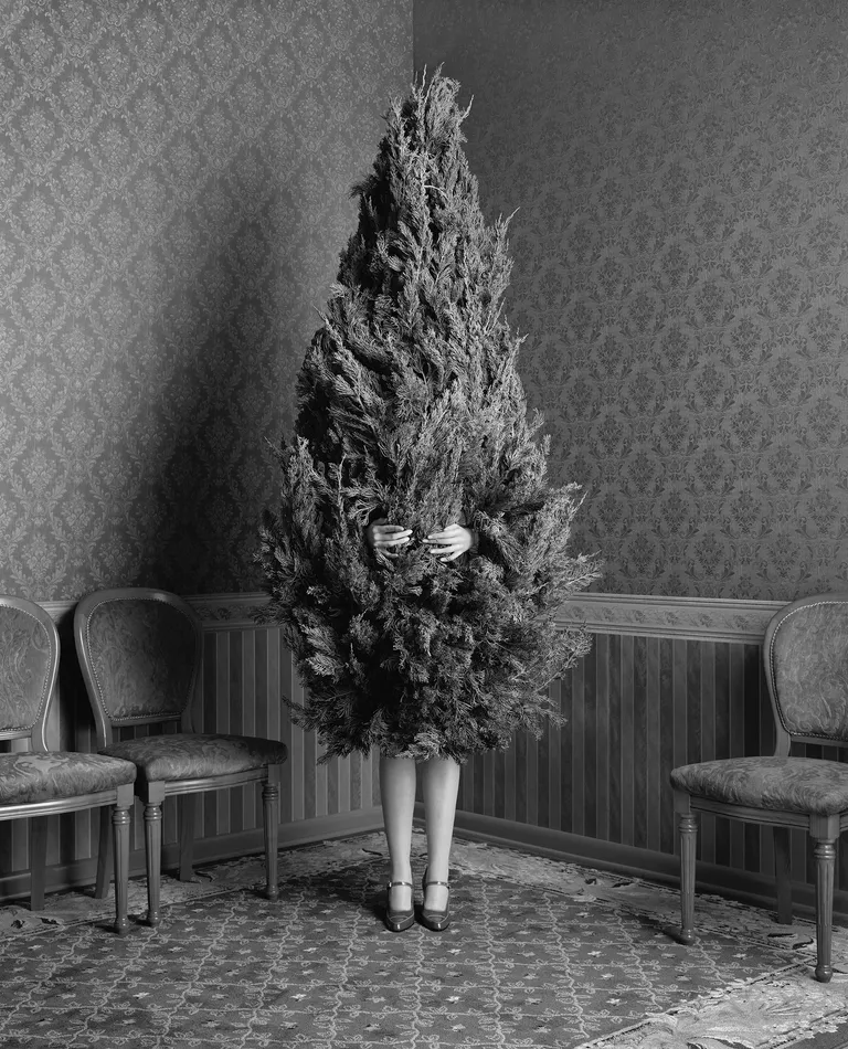 Femme cachée derrière un sapin de noël